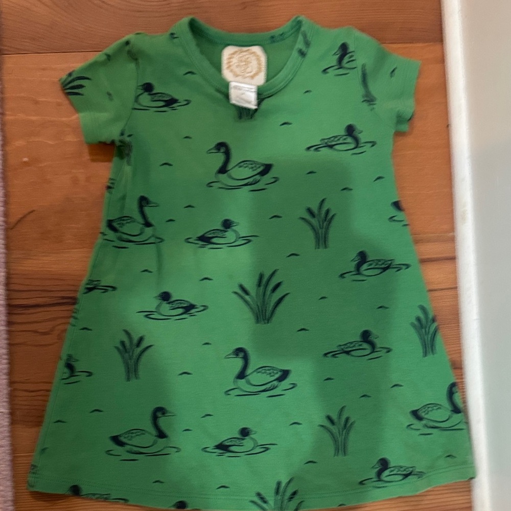 The Beaufort Bonnet Company Green Duck Pattern Dress